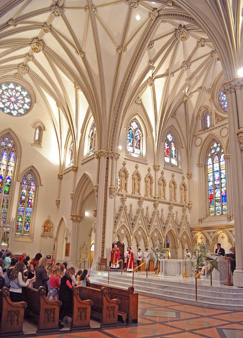 Bishop Richard Malone leads Palm Sunday Mass at St Joseph Cathedral. (Dan Cappellazzo/Staff Photographer)